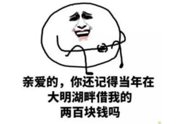 浮梁浮梁的要账公司在催收过程中的策略和技巧有哪些？