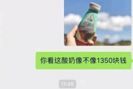 浮梁专业催债公司的市场需求和前景分析